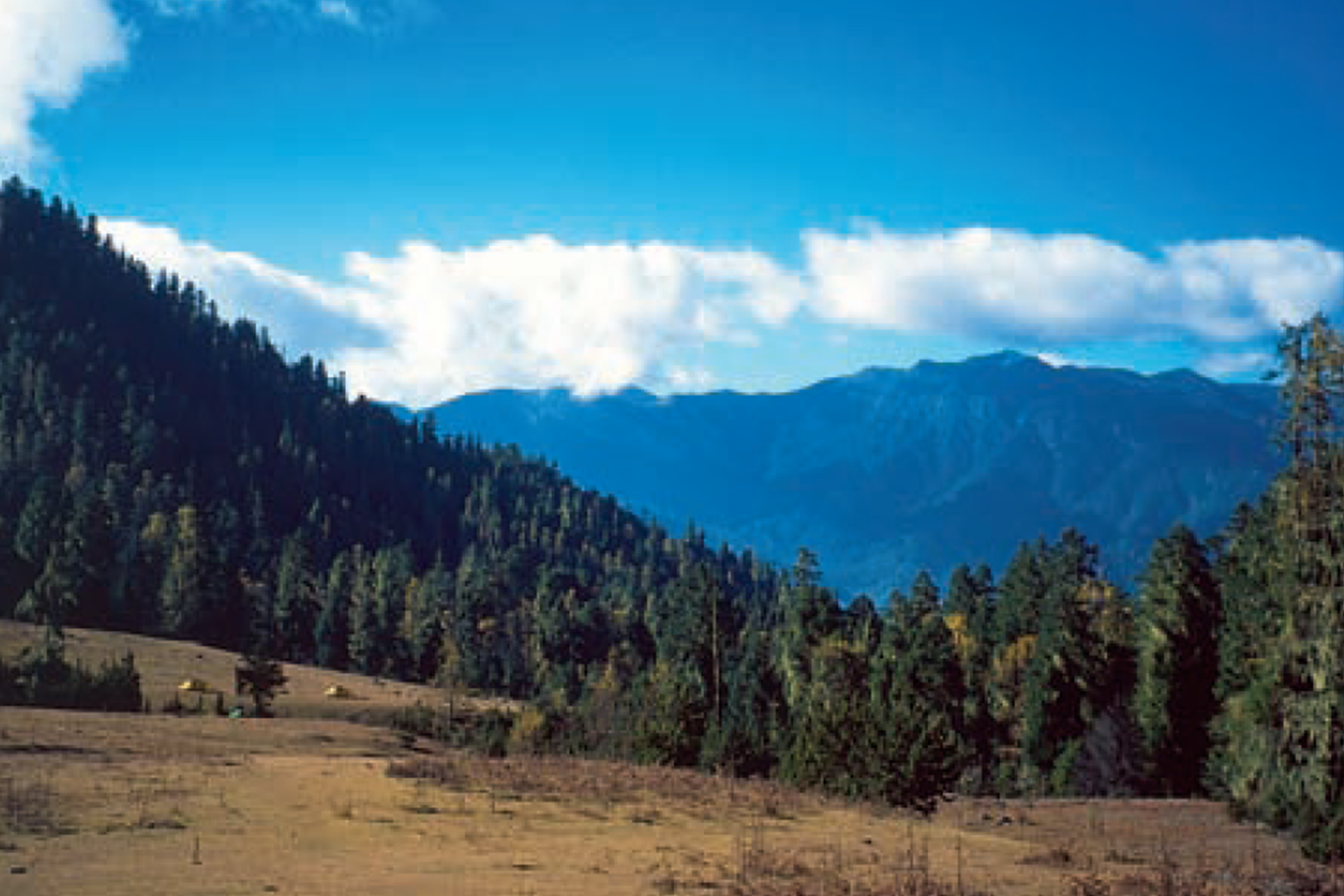 Haa Valley-Saga La-Drugyel Dzong
