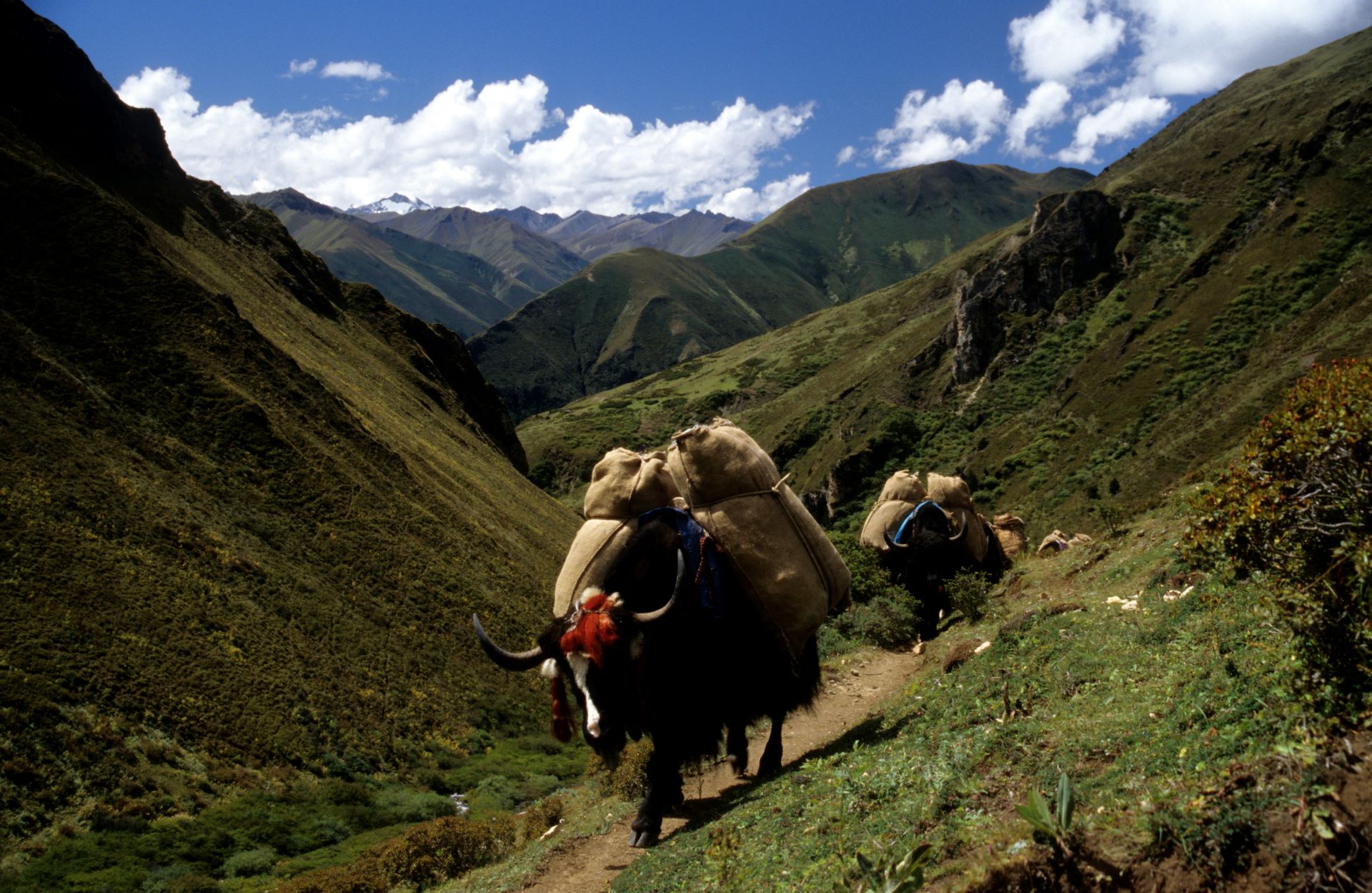 trekking-tour